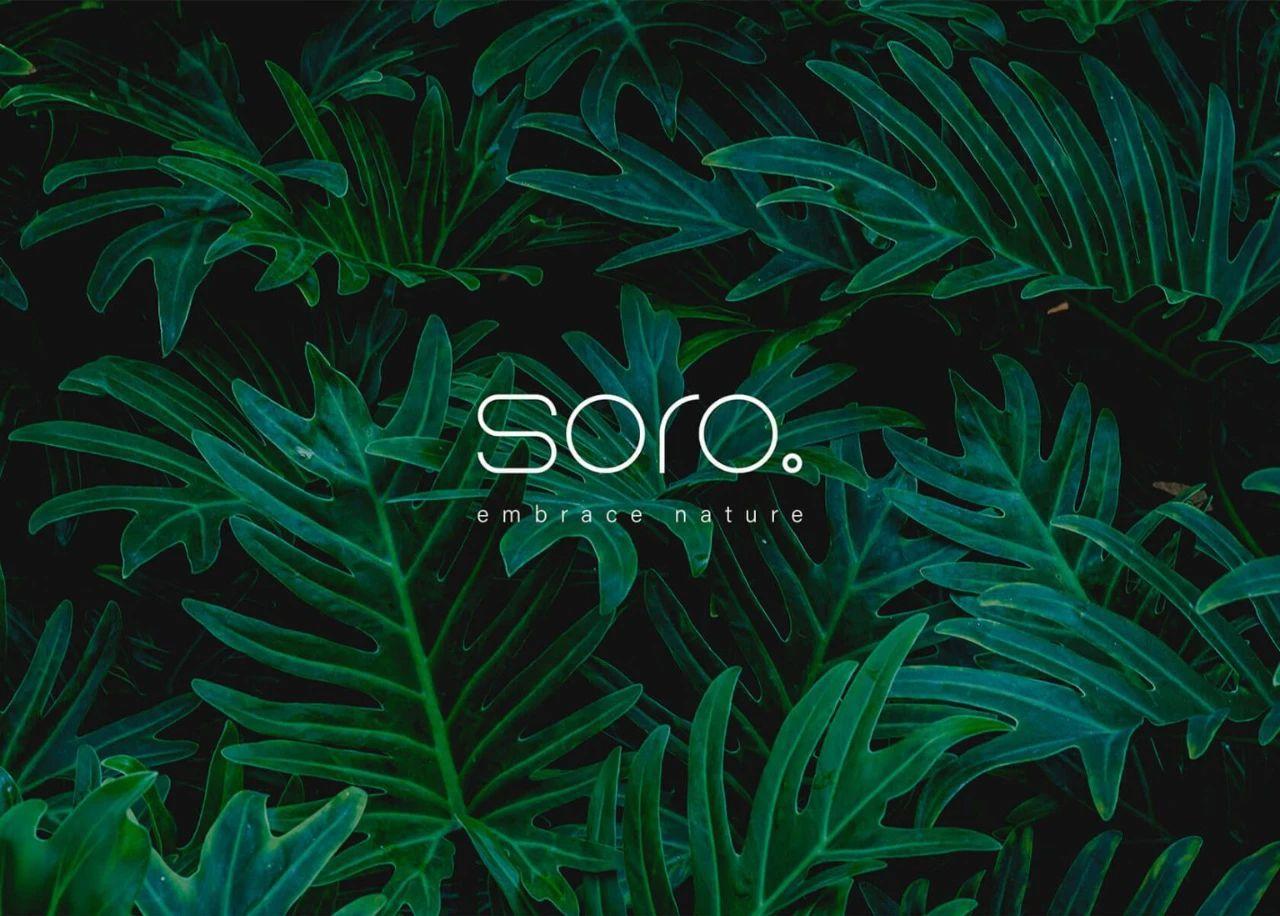 设计与自然的完美融合，Soro护肤品设计