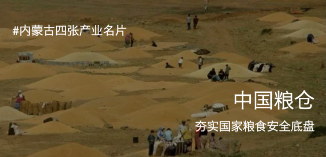 资源优势如何变成品牌优势?设计正在重塑内蒙古农畜产品价值